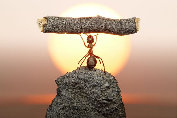 petit site e-commerce service client