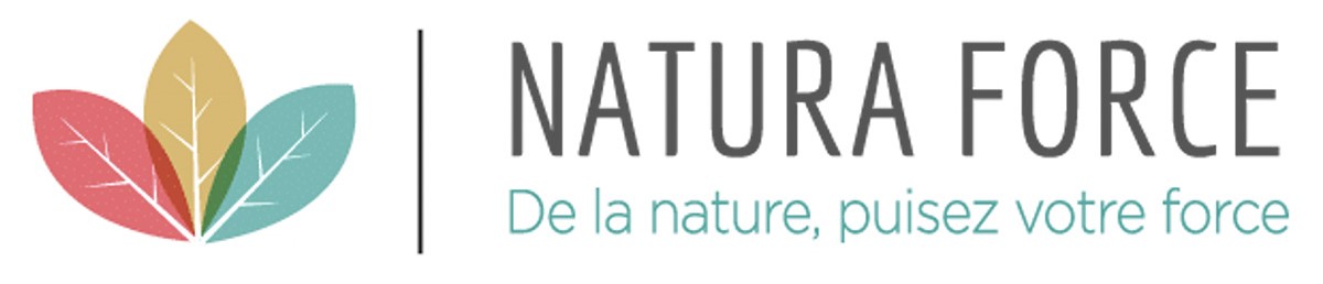 logiciel de ticketing