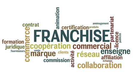Réseaux de franchise